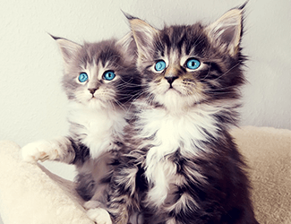 測繪CAD丨批量標(biāo)注坐標(biāo)，你不需要嗎？