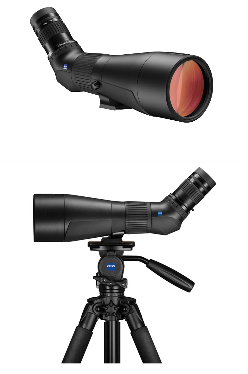 gavia5.jpg gavia5.jpg